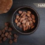 Manteiga de cupuaçu da Amazônia - equilíbrio de ácidos graxos para uma hidratação perfeita