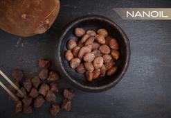 Manteiga de cupuaçu da Amazônia - equilíbrio de ácidos graxos para uma hidratação perfeita