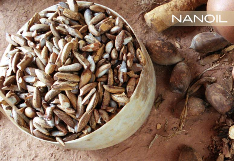 Óleo de Babaçu - cuidado da mais alta qualidade para cabelos de baixa porosidade