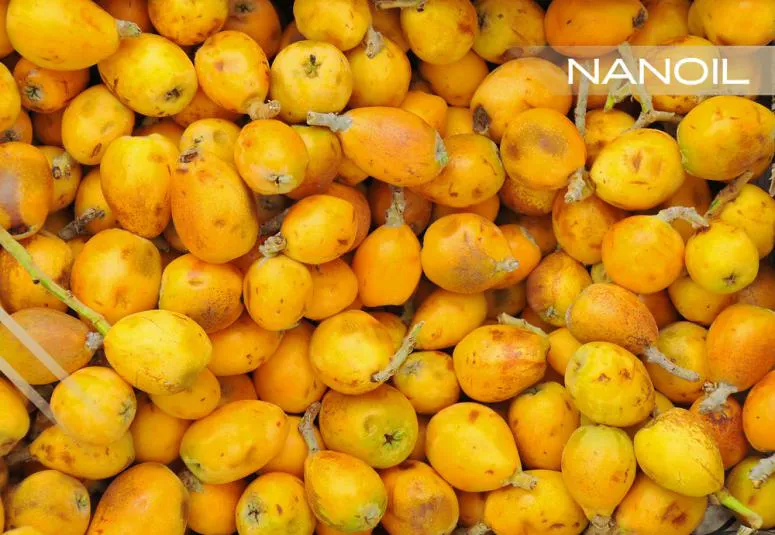 Óleo de marula nos cuidados com os cabelos - maravilhoso elixir rejuvenescedor